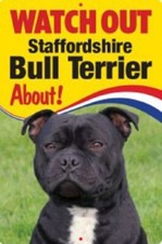 Staffordshire Bull Terrier ID