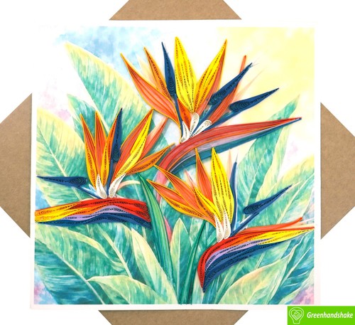 Bird paradise beauty - paradise,