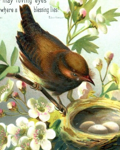 1870s 80s eden hooper - 1870s-80s, embossed