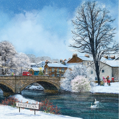 Charity christmas cards eden - charity,