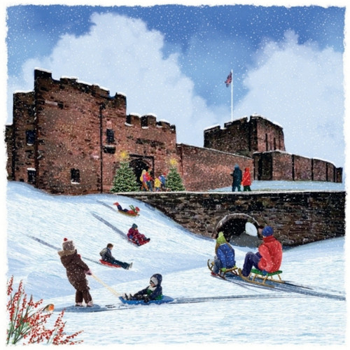 Charity christmas cards - christmas,