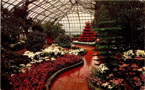 Eden park conservatory - park,