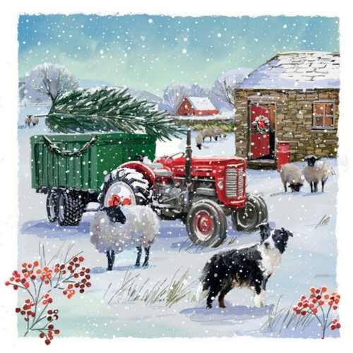 Charity christmas cards snow - cards,