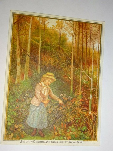 Vintage 1880 merry - a,
